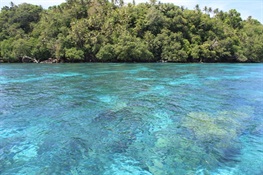 Papua New Guinea Commits to New Marine Protected Area